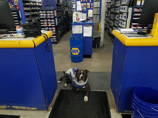 Auto Parts Store «Ridge NAPA Auto Parts and Paint», reviews and photos, 1212 King Hwy, Kalamazoo, MI 49001, USA