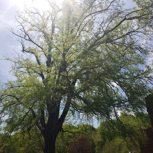 National Park «Petersburg National Battlefield Park Trailhead», reviews and photos, 5001 Siege Rd, Petersburg, VA 23804, USA