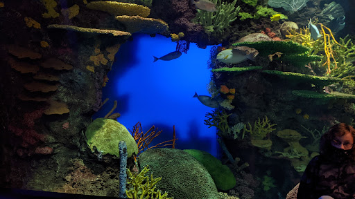 Aquarium «New York Aquarium», reviews and photos, 602 Surf Ave, Brooklyn, NY 11224, USA