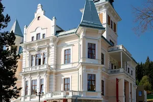 Chateau Cihelny image