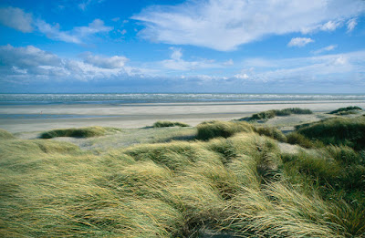 Agence Bergounioux à Le Touquet-Paris-Plage