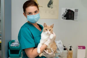 Pet Shine Animal Clinic image