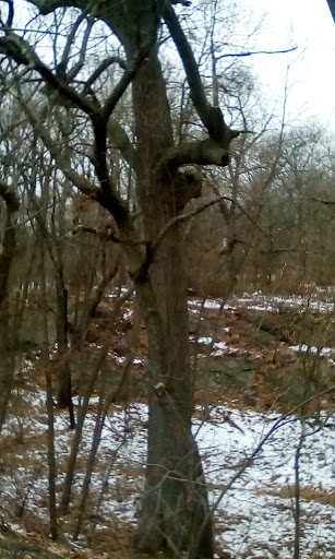 Park «Dorchester Park», reviews and photos, 2180 Dorchester Ave, Dorchester, MA 02124, USA