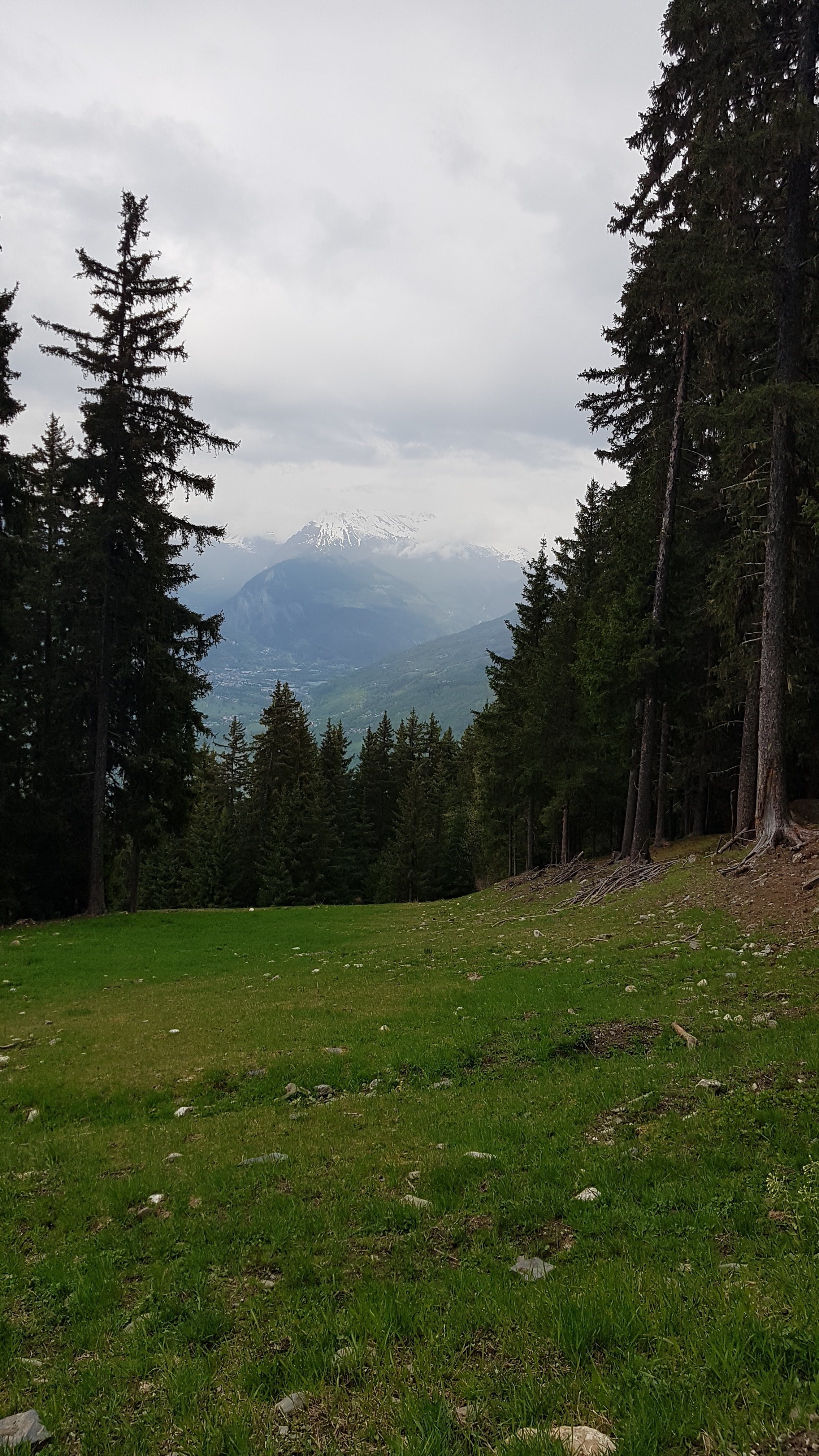 Photo n° 1 de l'avis de ghislaine.a fait le 30/05/2023 à 11:49