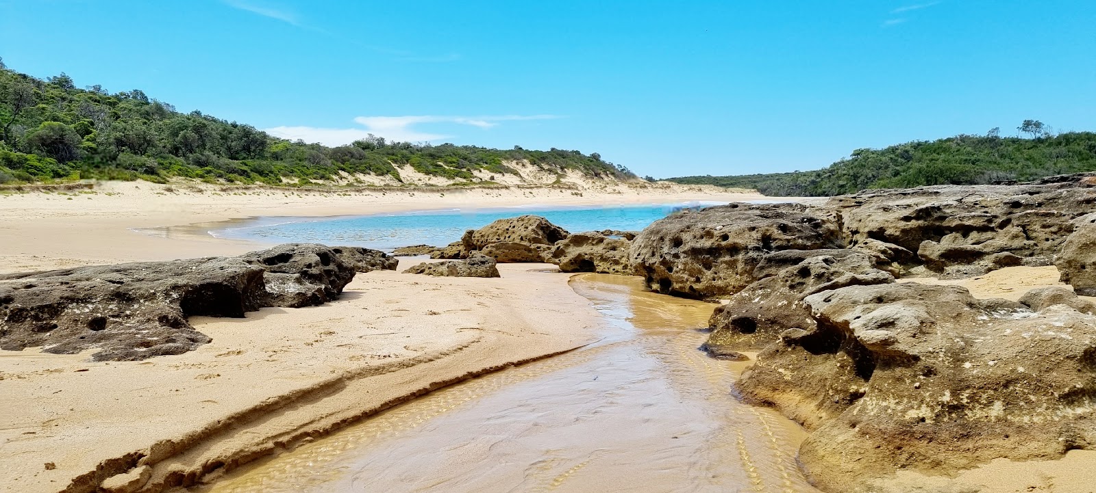Photo de Target Beach situé dans une zone naturelle