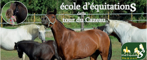 Centre équestre école d'équitations de la tour du cazeau Arles