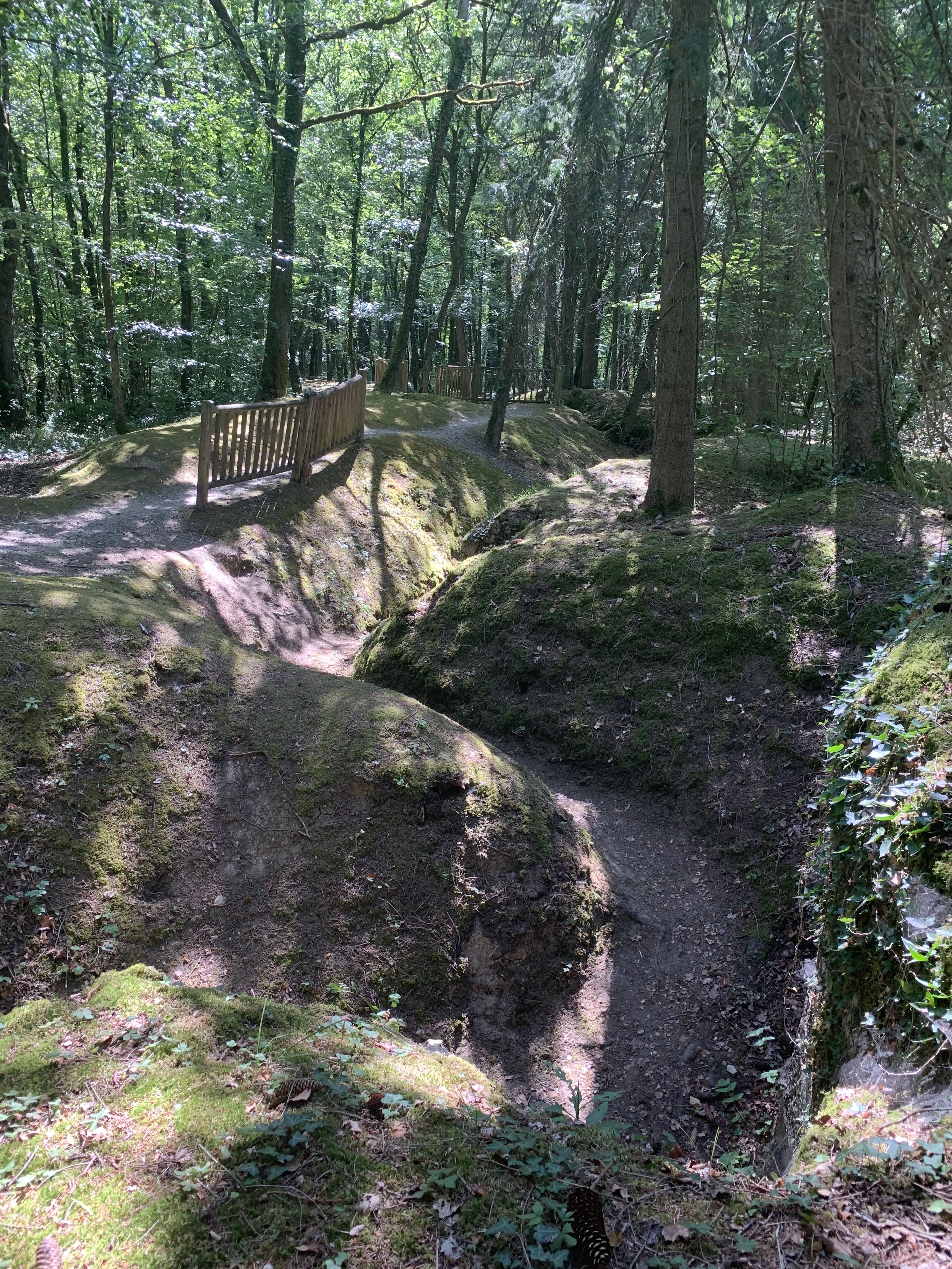Photo n° 2 de l'avis de Ivo. fait le 18/08/2020 à 21:12