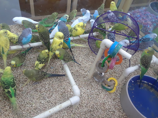 Pet Supply Store «Pet Supermarket», reviews and photos, 4500 N State Rd 7, Pompano Beach, FL 33073, USA