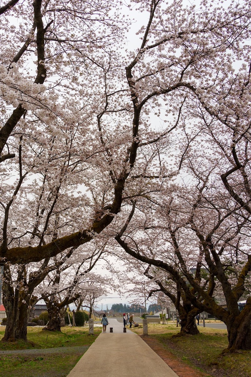 松ヶ岡開墾場 -MATSUGAOKA CRAFT PARK-