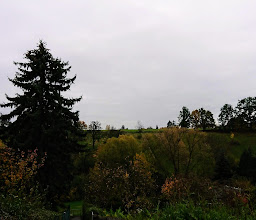 Kleingärtnerverein Heiliger Born Leubnitz-Neuostra e.V. photo