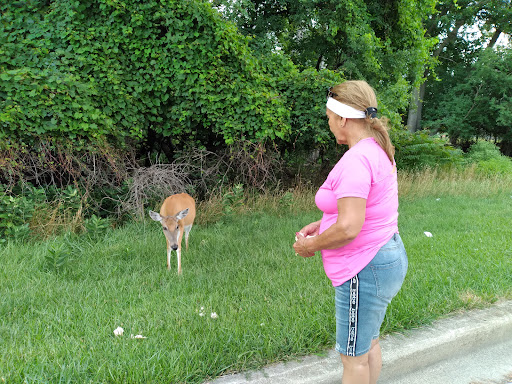 Nature Preserve «Schiller Woods East», reviews and photos, W Irving Park Rd, Chicago, IL 60634, USA