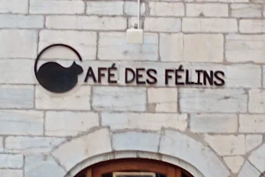 Café des Félins image