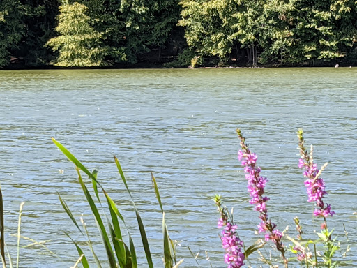 State Park «Winding Hills County Park», reviews and photos, 1847 NY-17K, Montgomery, NY 12549, USA