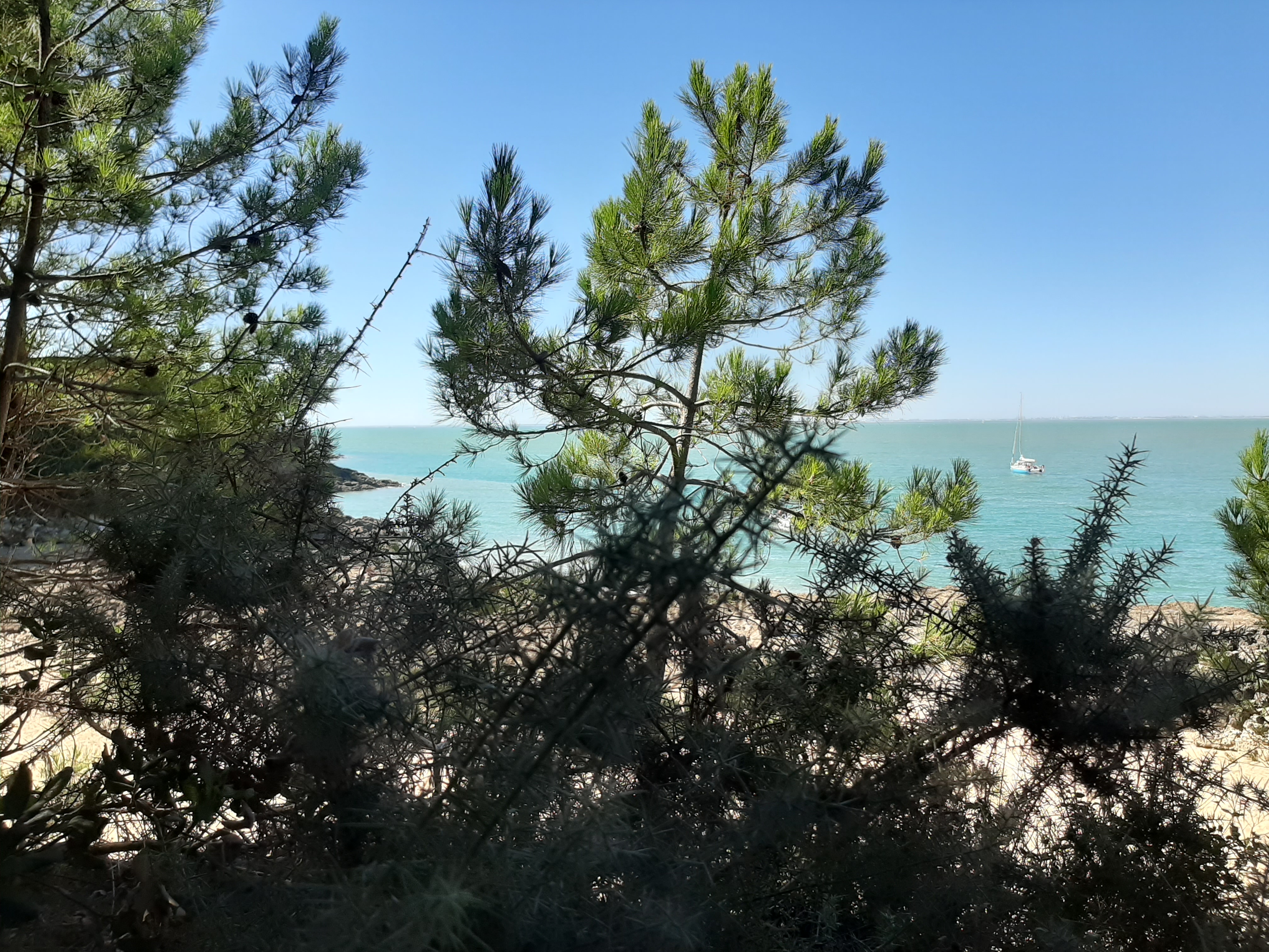 Photo n° 15 de l'avis de Tristan.L fait le 30/07/2020 à 07:41