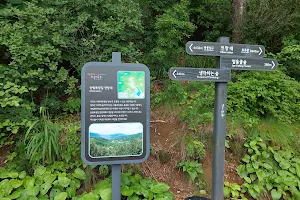 Seoul Grand Park Forest Trail image