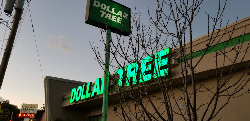 Dollar Store «Dollar Tree», reviews and photos, 125 Essex St, Maywood, NJ 07607, USA