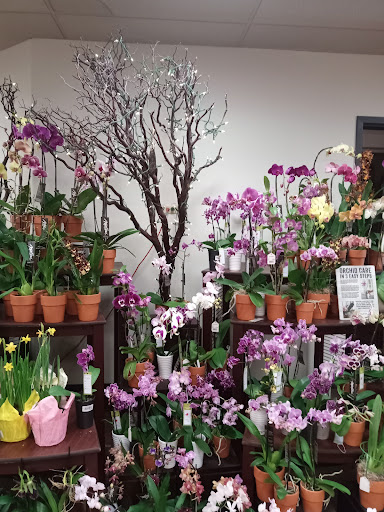 Grocery Store «Safeway», reviews and photos, 340 E McDowell Rd, Phoenix, AZ 85004, USA