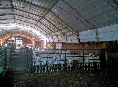 Gaec Du Domaine de L Argolay à Saint-Germain-en-Brionnais