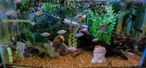 Pet Store «Aqualand Aquarium Center», reviews and photos, 5355 Chicago Ave, Minneapolis, MN 55417, USA