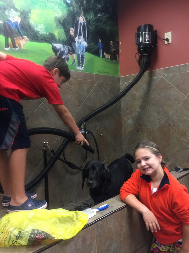 Pet Store «Pet Valu», reviews and photos, 345 N Main St, West Hartford, CT 06117, USA