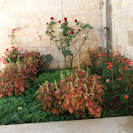 Photo n°2 de l'avis de Matteo.a fait le 21/08/2019 à 16:46 sur le  PATHOS TRA I TRULLI à Alberobello