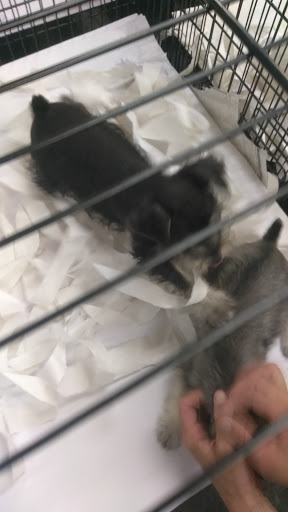 Pet Supply Store «Our Pet World», reviews and photos, 380 Semoran Commerce Pl, Apopka, FL 32703, USA