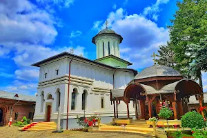 Mănăstirea Plumbuita image
