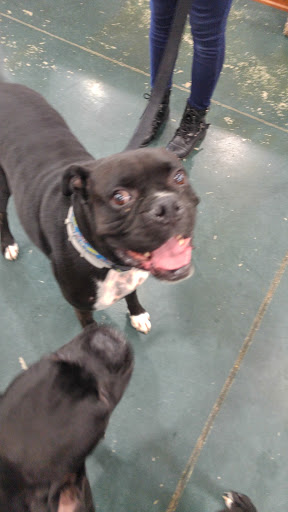 Pet Supply Store «Rucker Horse & Pet», reviews and photos, 3540 Keith Bridge Rd, Cumming, GA 30041, USA