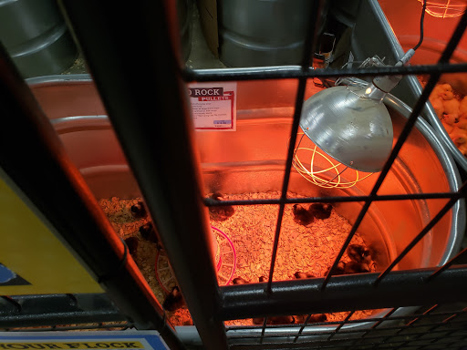 Home Improvement Store «Tractor Supply Co.», reviews and photos, 67 Palomba Dr, Enfield, CT 06082, USA