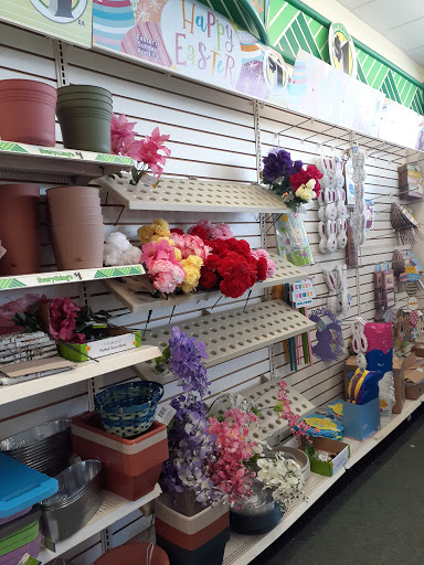 Dollar Store «Dollar Tree», reviews and photos, 10 Gooding Ave, Bristol, RI 02809, USA