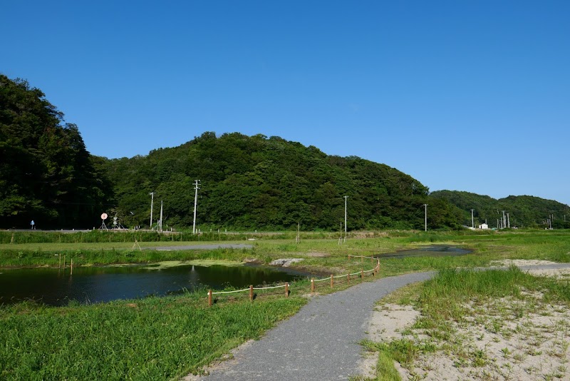 大浜田湿地