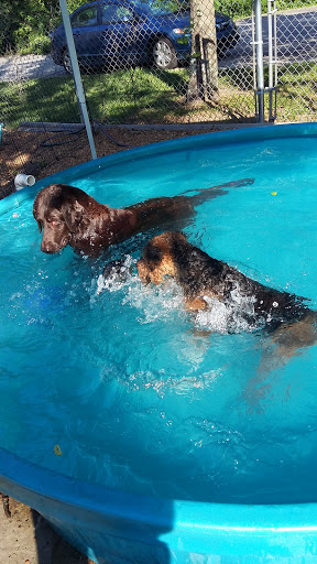 Pleasant View Pet Resorts