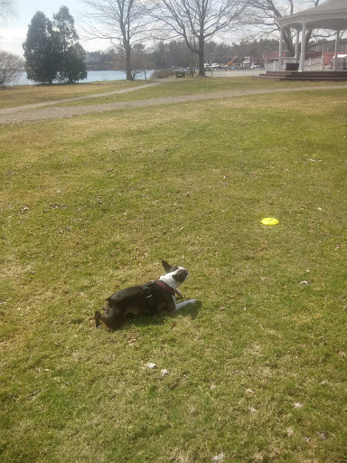 Park «Masconomo Park», reviews and photos, 60 Beach St, Manchester-by-the-Sea, MA 01944, USA