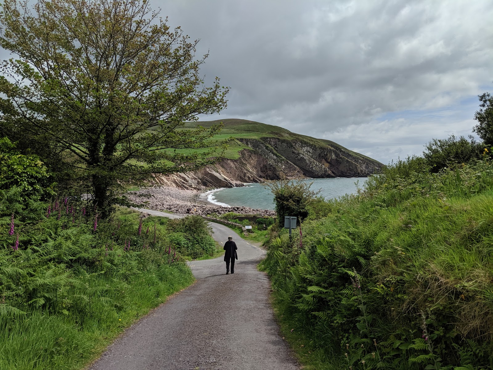 Minard Beach photo #8