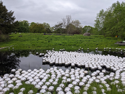 Gift Shop «NYBG Shop», reviews and photos, 2900 Southern Blvd, Bronx, NY 10458, USA