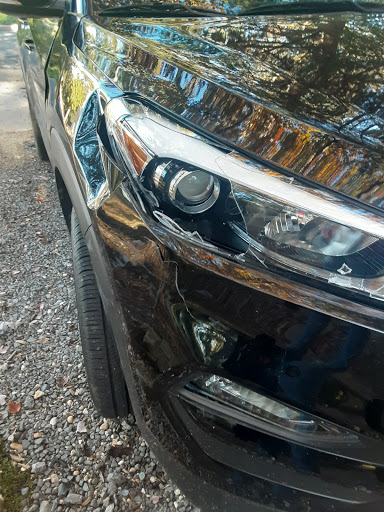 Auto Repair Shop «Northern Virginia Auto Body Work Shop Inc.», reviews and photos, 3160 Roanoke St, Fairfax, VA 22031, USA