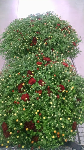 Home Improvement Store «Menards», reviews and photos, 2800 Indian Dr, Port Huron, MI 48060, USA