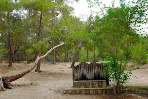 Kuyuluk Nature Park image