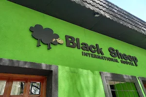 Black Sheep International Hostel image