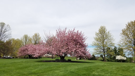 Golf Course «Honey Run Golf Course», reviews and photos, 3131 S Salem Church Rd, York, PA 17408, USA