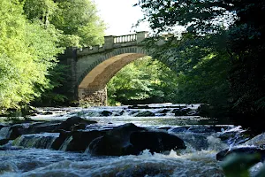 Almondell & Calderwood Country Park image