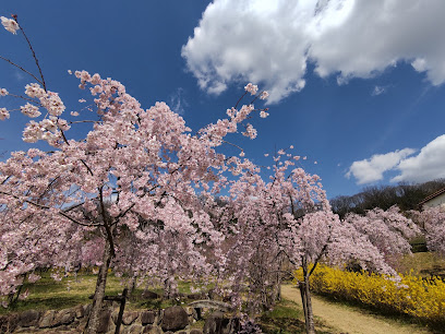 八幡桜公園