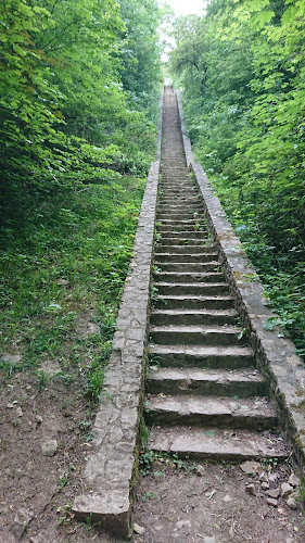 Les escaliers à Curis-au-Mont-d'Or