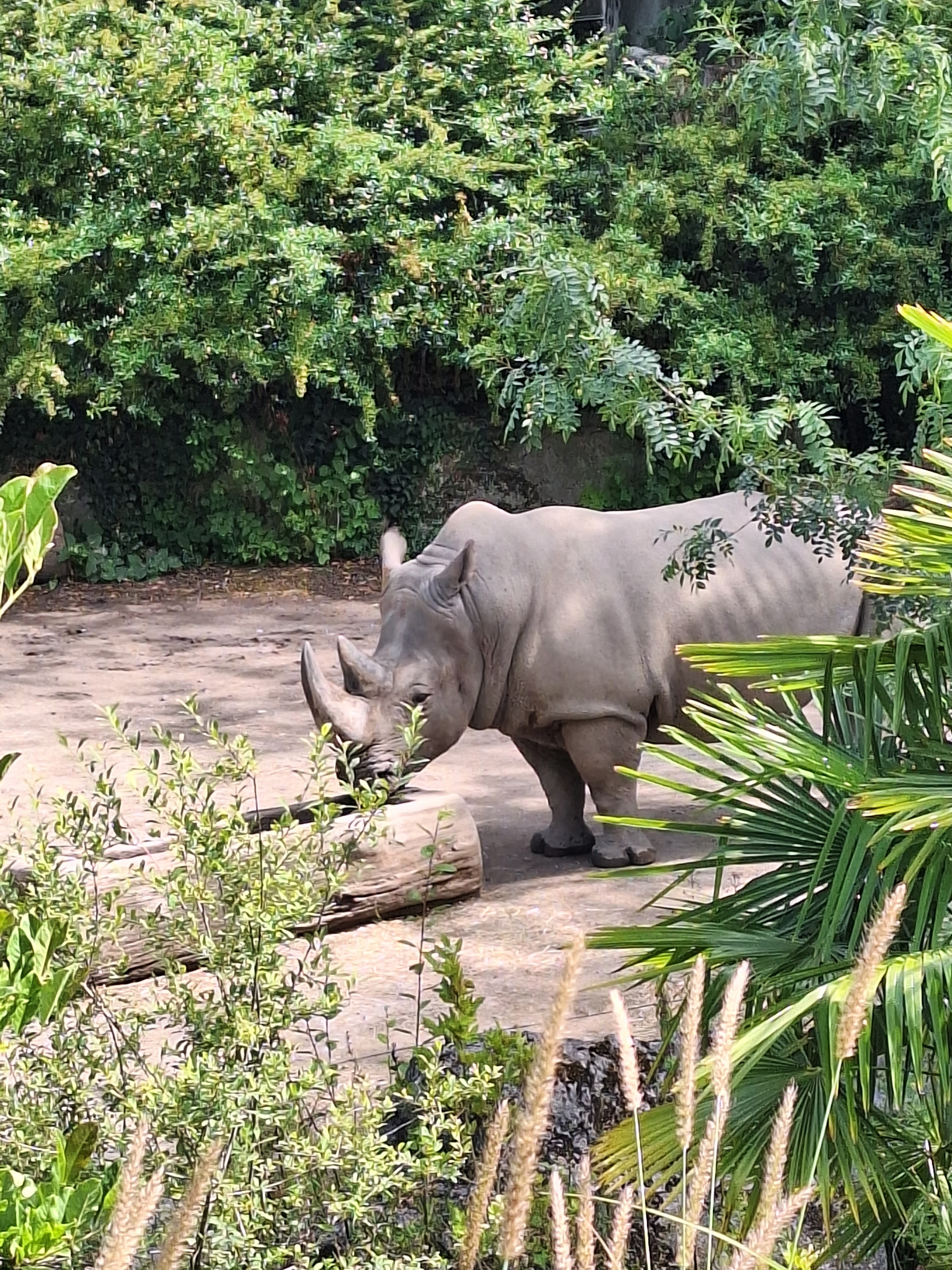 Photo n° 1 de l'avis de Sabrina.e fait le 31/07/2023 à 08:05