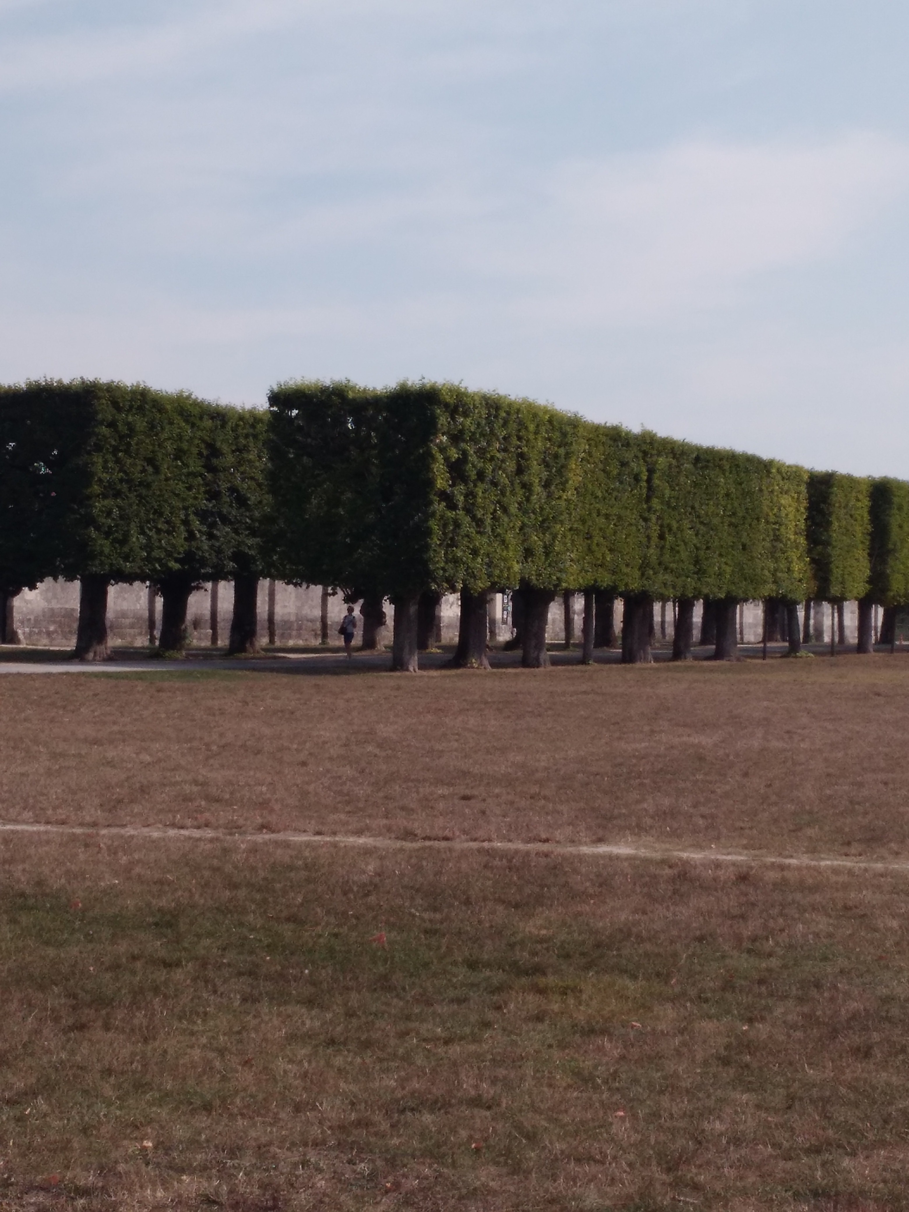 Photo n° 13 de l'avis de Armail.e fait le 20/09/2020 à 14:45