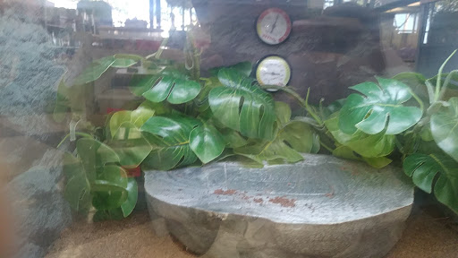 Pet Supply Store «Petco Animal Supplies», reviews and photos, 5215 Lakewood Blvd, Lakewood, CA 90712, USA