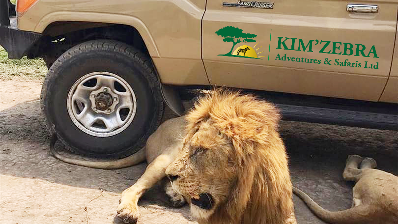 Kimzebra Adventures & Safaris Ltd