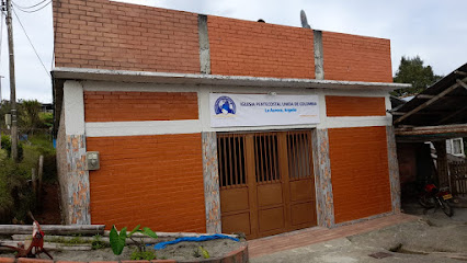 iglesia pentecostal unida de colombia IPUC