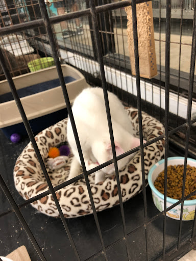 Pet Supply Store «PetSmart», reviews and photos, 650 Commerce Blvd, Scranton, PA 18519, USA