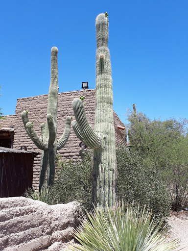 Theme Park «Old Tucson», reviews and photos, 201 Kinney Rd, Tucson, AZ 85735, USA